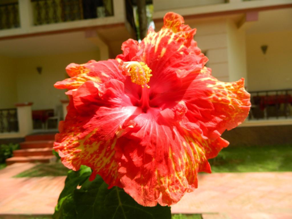 Fantasy Golf Resort Devanahalli Bagian luar foto